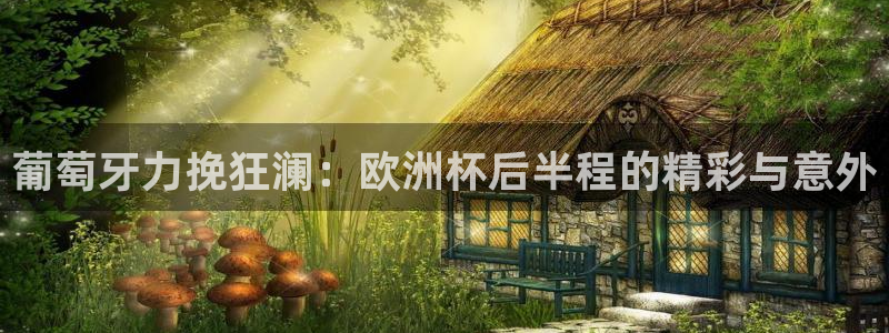 2026年世界杯赛程时间表格：葡萄牙力挽狂澜：欧洲杯后半程的精彩与意外