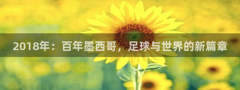 世界杯亚洲区预选赛积分榜：2018年：百年墨西哥，足球与世界的新篇章