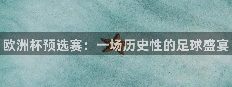 世界杯足球比赛：欧洲杯预选赛：一场历史性的足球盛宴