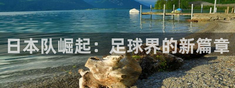 世界杯对阵图2026：日本队崛起：足球界的新篇章