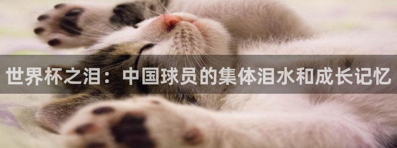 世界杯转播表：世界杯之泪：中国球员的集体泪水和成长记忆