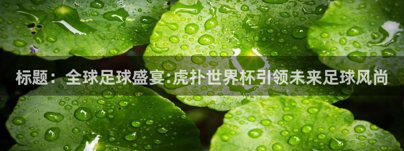 世界杯直播平台：标题：全球足球盛宴:虎扑世界杯引领未来足球风尚