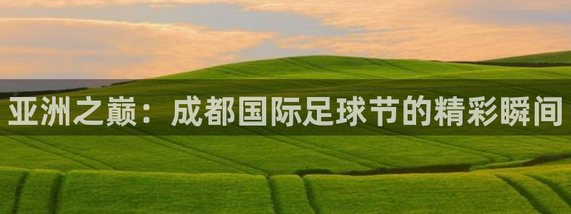 世界杯球队：亚洲之巅：成都国际足球节的精彩瞬间