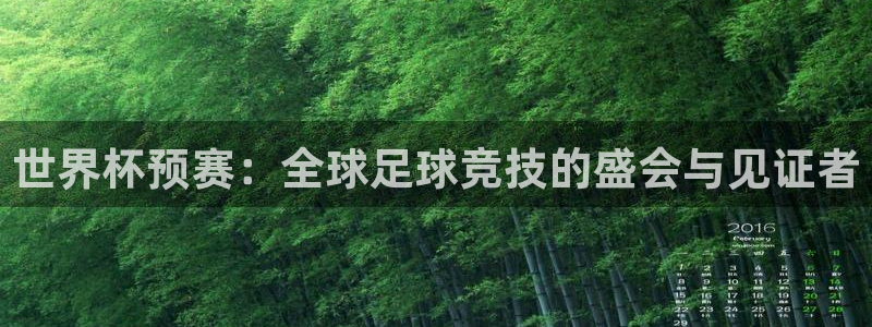 2026世界杯：世界杯预赛：全球足球竞技的盛会与见证者