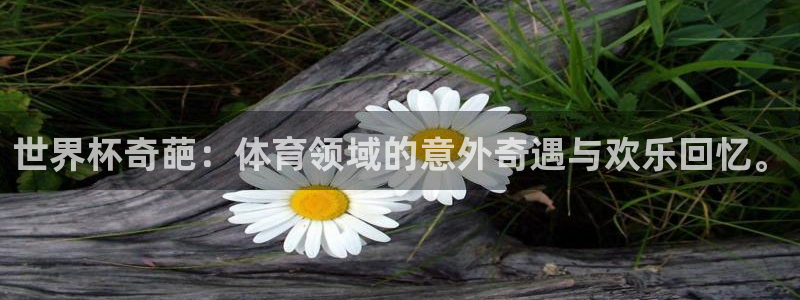 2026年世界杯赛程表时间：世界杯奇葩：体育领域的意外奇遇与欢乐回忆。