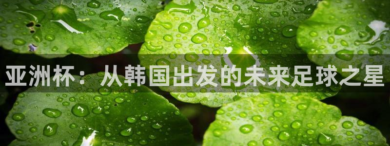 国际足联世界杯：亚洲杯：从韩国出发的未来足球之星