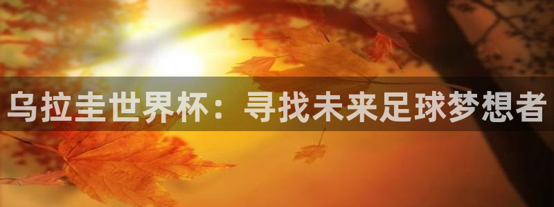 世界杯足球比赛：乌拉圭世界杯：寻找未来足球梦想者