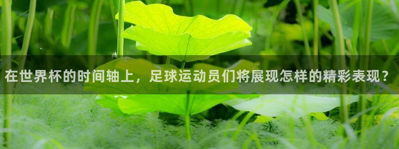 2026世界杯直播：在世界杯的时间轴上，足球运动员们将展现怎样的精彩表现？