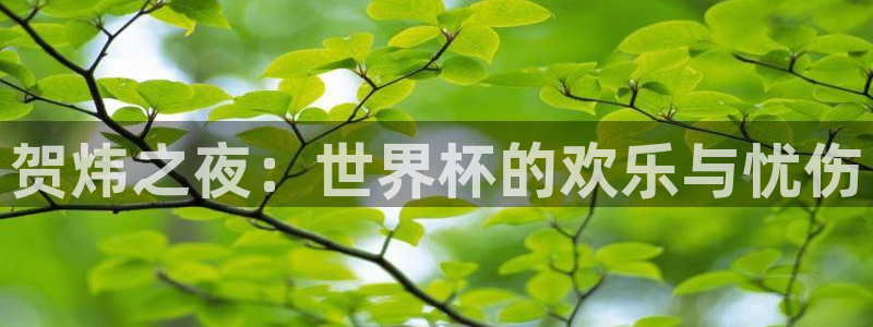 世界杯决赛预测：贺炜之夜：世界杯的欢乐与忧伤