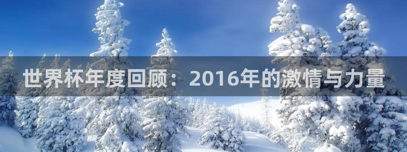 英格兰联赛杯直播：世界杯年度回顾：2016年的激情与力量